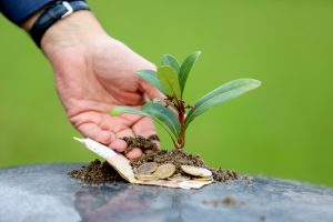 LBCM Arnold Luyben - Ondernamen